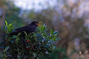 150939349_418907482727539_840198650769453164_n