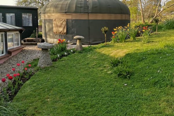 92827970_3795438037192945_1193280333034815488_n