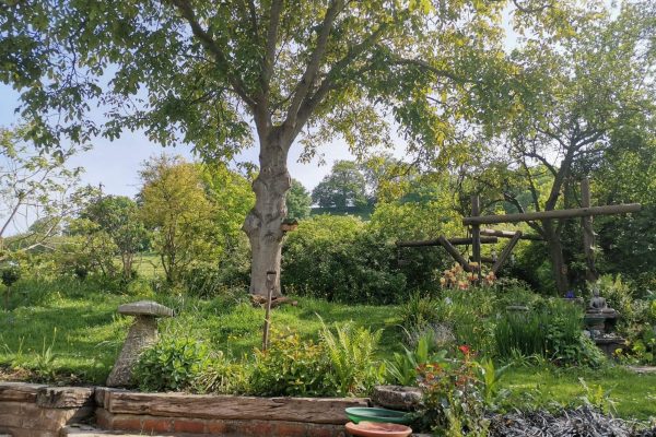 received_327470135327694